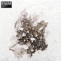 Mcloughlin Sam & David Chatton Bark - Environmental Meditation Music (Emm i gruppen VINYL / Dans/Techno hos Bengans Skivbutik AB (4200016)