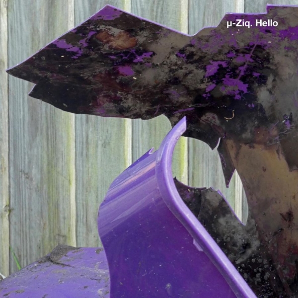 ?-Ziq - Hello i gruppen VINYL / Toppsäljare hos Bengans Skivbutik AB (4200068)