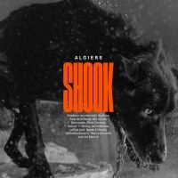Algiers - Shook (Gold Vinyl) i gruppen VI TIPSAR / Bengans Personal Tipsar / Bäst Hittills-Nyfiken 23 - VL hos Bengans Skivbutik AB (4201707)