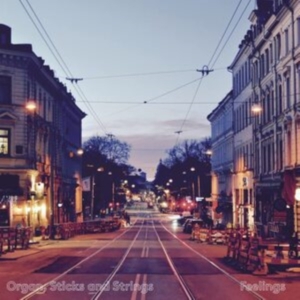 Organ Sticks And Strings - Feelings i gruppen CD / Jazz hos Bengans Skivbutik AB (4202078)