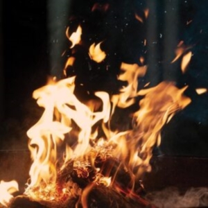 Fran - Leaving i gruppen ÖVRIGT / Övrigt / aub hos Bengans Skivbutik AB (4204561)