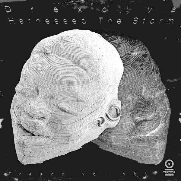 Drexciya - Harnessed The Storm i gruppen VINYL / Dans/Techno hos Bengans Skivbutik AB (4204778)