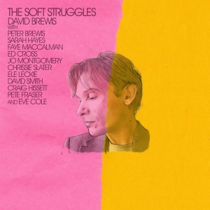 David Brewis - Soft Struggles i gruppen VINYL / Pop-Rock hos Bengans Skivbutik AB (4204818)