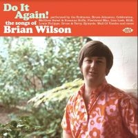 Do It Again! The Songs Of Brian Wil - Various i gruppen CD / Pop-Rock hos Bengans Skivbutik AB (4204849)