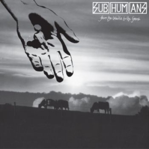 Subhumans - From The Cradle To The Grave (Red V i gruppen VINYL / Pop hos Bengans Skivbutik AB (4205908)