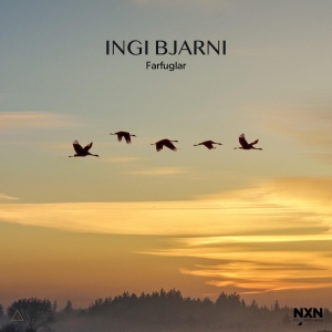Ingi Bjarni - Farfuglar i gruppen Externt_Lager / Naxoslager hos Bengans Skivbutik AB (4205933)