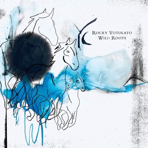 Rocky Votolato - Wild Roots i gruppen VINYL / Pop hos Bengans Skivbutik AB (4206462)