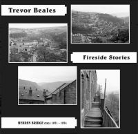 BEALES TREVOR - FIRESIDE STORIES (HEBDEN BRIDGE CIR i gruppen VINYL / Pop-Rock hos Bengans Skivbutik AB (4206470)