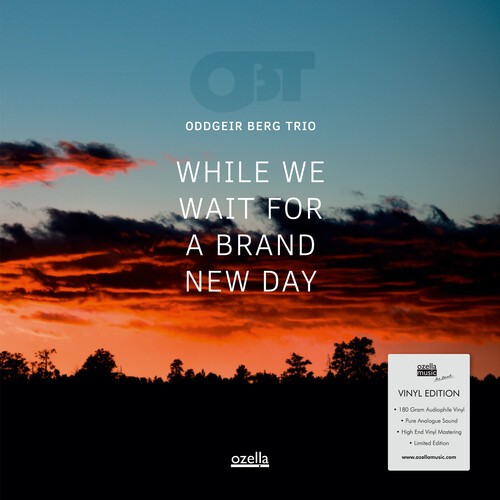 Berg Oddgeir Trio - While We Wait For A Brand New Day i gruppen VINYL / Jazz/Blues hos Bengans Skivbutik AB (4206676)