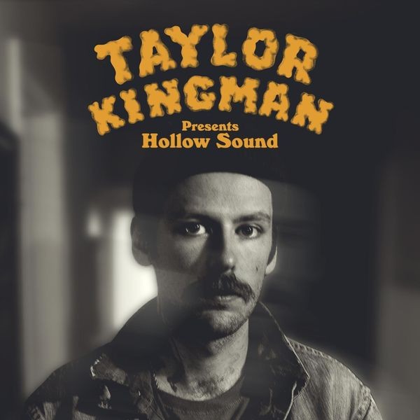 Taylor Kingman - Hollow Sound i gruppen VINYL / Pop hos Bengans Skivbutik AB (4206742)