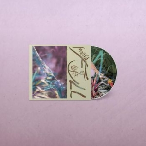 Macie Stewart - Mouth Full Of Glass i gruppen CD / Pop hos Bengans Skivbutik AB (4206821)