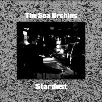 Sea Urchins - Stardust i gruppen VINYL / Pop-Rock hos Bengans Skivbutik AB (4207377)