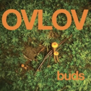 Ovlov - Buds (Indie Exclusive, Orange Vinyl i gruppen ÖVRIGT / Övrigt / aub hos Bengans Skivbutik AB (4208413)