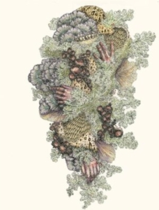 Pyrithe - Monuments To Impermanence i gruppen ÖVRIGT / Övrigt / aub hos Bengans Skivbutik AB (4208435)