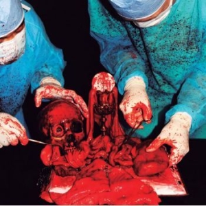 Miasmatic Necrosis - Apex Profane i gruppen CD / Hårdrock hos Bengans Skivbutik AB (4208752)