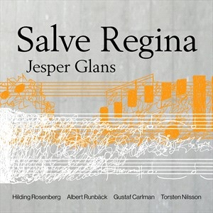 Various - Salve Regina i gruppen Externt_Lager / Naxoslager hos Bengans Skivbutik AB (4211363)