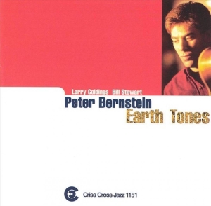 Bernstein Peter - Earth Tones i gruppen CD / Jazz hos Bengans Skivbutik AB (4211770)