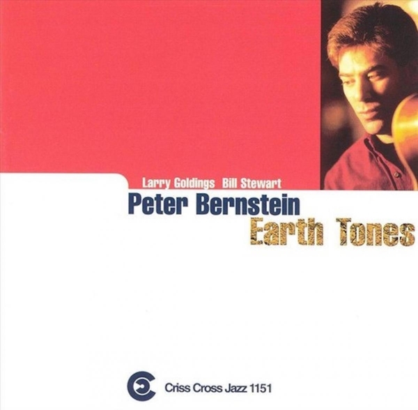 Bernstein Peter - Earth Tones i gruppen CD / Toppsäljare hos Bengans Skivbutik AB (4211770)