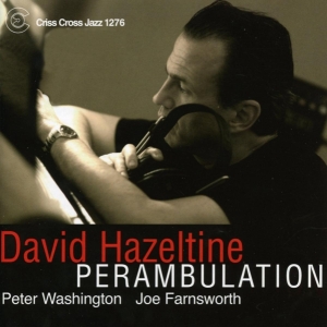 Hazeltine David -Trio- - Perambulation i gruppen CD / Jazz hos Bengans Skivbutik AB (4211836)