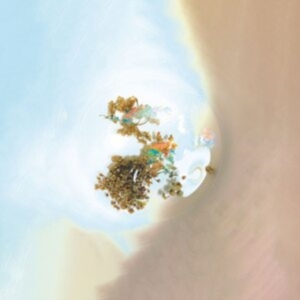 Sam Goku - The Things We See When We Look Clos i gruppen VINYL / Pop-Rock hos Bengans Skivbutik AB (4213966)