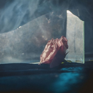 Ranaldo Lee - In Virus Times i gruppen ÖVRIGT / Övrigt / aub hos Bengans Skivbutik AB (4216391)