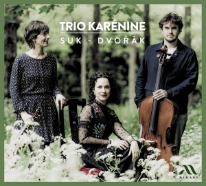 Trio Karenine - Suk - Dvorak i gruppen CD / Klassiskt,Övrigt hos Bengans Skivbutik AB (4216835)