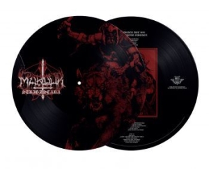 Marduk - Strigzscara Warwolf Live 1993 (Pic. i gruppen Minishops / Marduk hos Bengans Skivbutik AB (4217283)