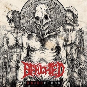 Benighted - Necrobreed i gruppen VINYL / Hårdrock/ Heavy metal hos Bengans Skivbutik AB (4217291)
