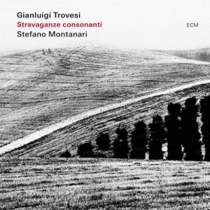 Trovesi Gianluigi Montanari Stef - Stravaganza Consonanti i gruppen CD / Jazz hos Bengans Skivbutik AB (4218221)