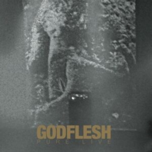 Godflesh - Pure: Live (2 Lp Splatter Vinyl) i gruppen VINYL / Pop-Rock hos Bengans Skivbutik AB (4218857)