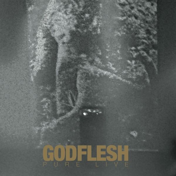Godflesh - Pure: Live (2 Lp Splatter Vinyl) i gruppen VINYL / Pop hos Bengans Skivbutik AB (4218857)