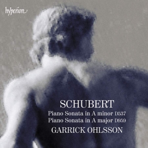 Schubert Franz - Piano Sonatas D537 & 959 i gruppen Externt_Lager / Naxoslager hos Bengans Skivbutik AB (4218917)