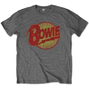 David Bowie - David Bowie Kids T-Shirt: Diamond Dogs Logo (Grey) i gruppen CDON - Exporterade Artiklar_Manuellt / T-shirts_CDON_Exporterade hos Bengans Skivbutik AB (4219949r)