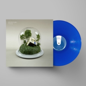 Fenne Lily - Big Picture (Ltd Ultramarine Vinyl) i gruppen VINYL / Pop-Rock hos Bengans Skivbutik AB (4220614)