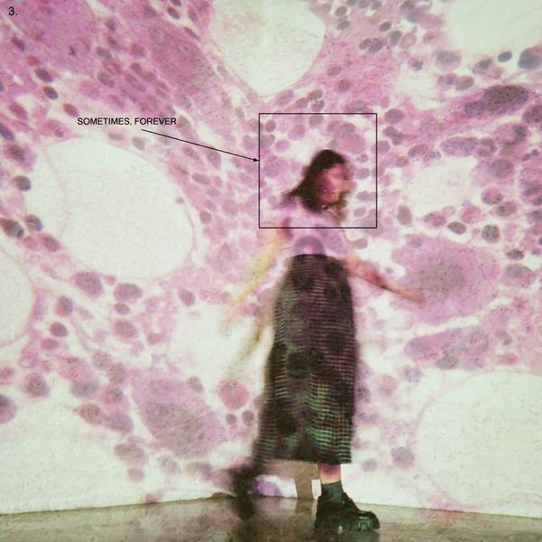 Soccer Mommy - Sometimes, Forever i gruppen CD / Rock hos Bengans Skivbutik AB (4221779)