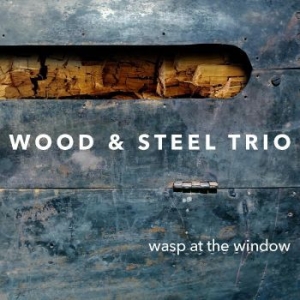 Wood & Steel Trio - Wasp At The Window i gruppen CD / Jazz/Blues hos Bengans Skivbutik AB (4222008)
