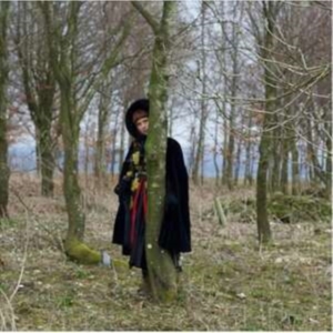 Order Of The 12 The - Lore Of The Land i gruppen CD / Pop-Rock hos Bengans Skivbutik AB (4222017)