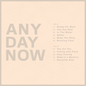 Krezip - Any Day Now (Crystal Clear Vinyl) i gruppen VINYL / Pop-Rock hos Bengans Skivbutik AB (4222169)