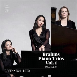 Brahms Johannes - Piano Trios Vol. 1, Op. 36 & 87 i gruppen Externt_Lager / Naxoslager hos Bengans Skivbutik AB (4223638)