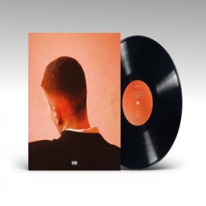 Joesef - Permanent Damage i gruppen VINYL / Pop-Rock hos Bengans Skivbutik AB (4224244)