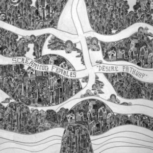 Screaming Females - Desire Pathway i gruppen VINYL / Hårdrock,Pop-Rock hos Bengans Skivbutik AB (4225183)