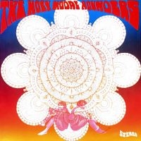 Holy Modal Rounders The - Indian War Whoop (Deluxe Edition) i gruppen VINYL hos Bengans Skivbutik AB (4225260)