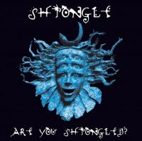 SHPONGLE - ARE YOU SHPONGLED? i gruppen VINYL / Dance-Techno,Pop-Rock hos Bengans Skivbutik AB (4225314)