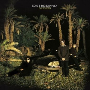 Echo And The Bunnymen - Evergreen i gruppen CD / Pop hos Bengans Skivbutik AB (4225614)