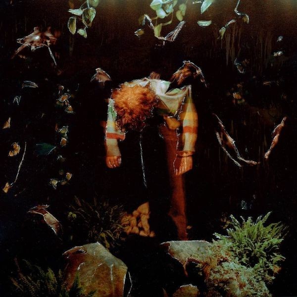 Cavetown - Worm Food i gruppen VINYL / Pop hos Bengans Skivbutik AB (4226876)