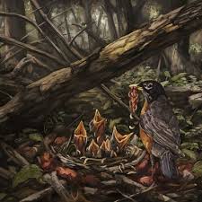 The Acacia Strain - Step Into The Light i gruppen VINYL / Rock hos Bengans Skivbutik AB (4227810)