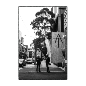 Tim Finn - At i gruppen CD / Pop-Rock hos Bengans Skivbutik AB (4227853)