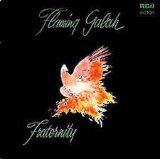 FRATERNITY - Flaming Galah (2Lp/Green Vinyl) (Rsd) i gruppen VI TIPSAR / Record Store Day / RSD2023 hos Bengans Skivbutik AB (4227901)