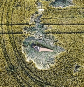 Bach Johann Sebastian - Partita & Concertos i gruppen Externt_Lager / Naxoslager hos Bengans Skivbutik AB (4232345)