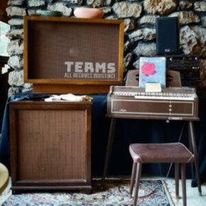 Terms - All Becomes  Indistinct (Random Col i gruppen VINYL / Jazz,Pop-Rock hos Bengans Skivbutik AB (4232389)
